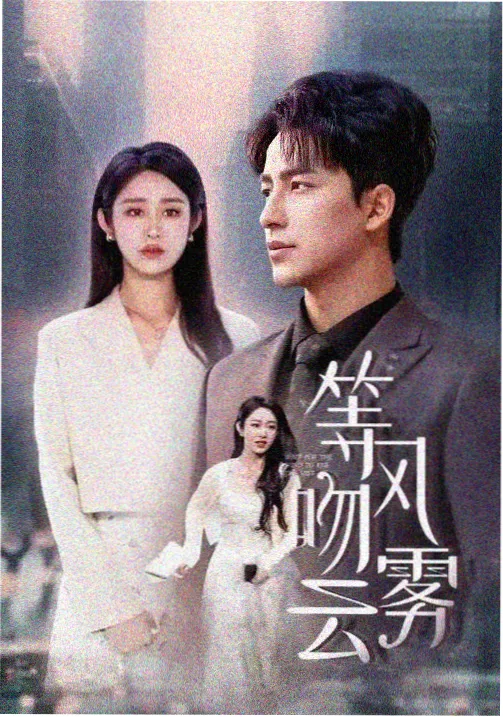 高清追剧